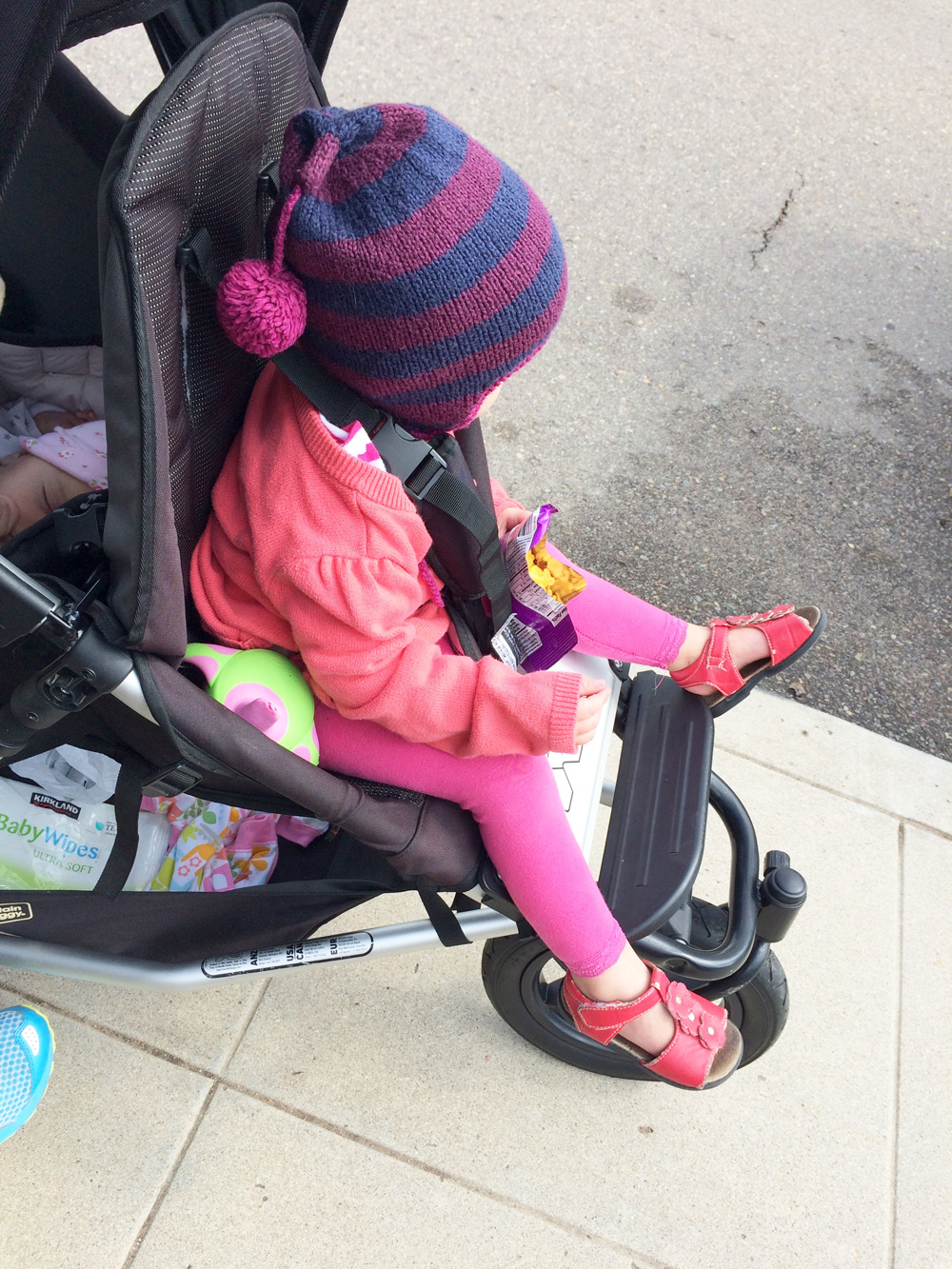 A Mountain Buggy +One Double Stroller Review