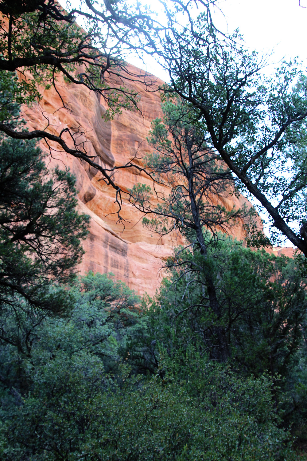 Family Time in Sedona, 2015