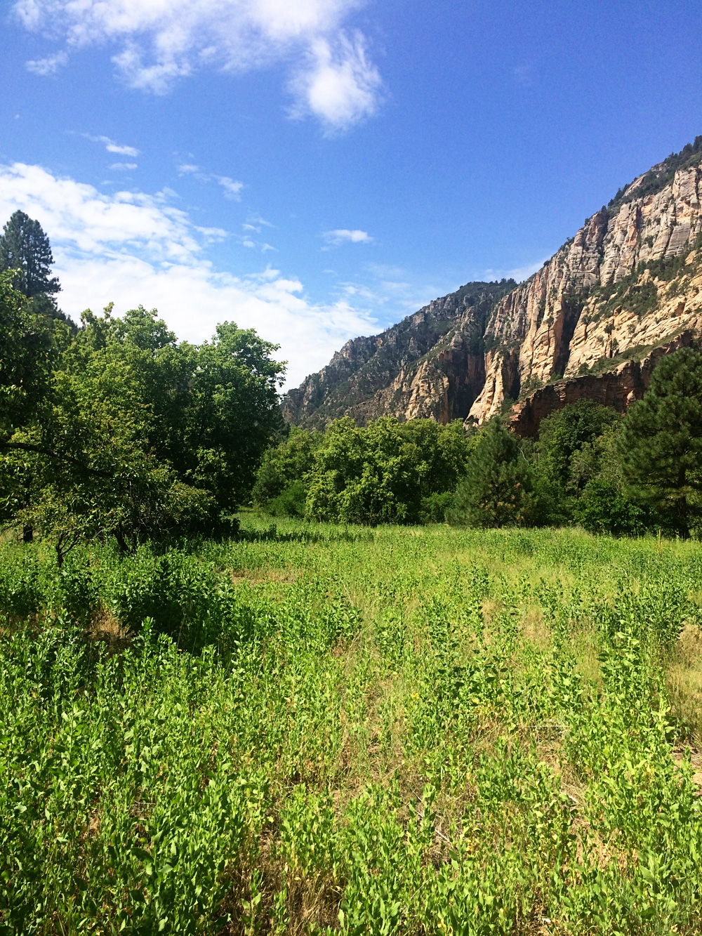 Family Time in Sedona, 2015