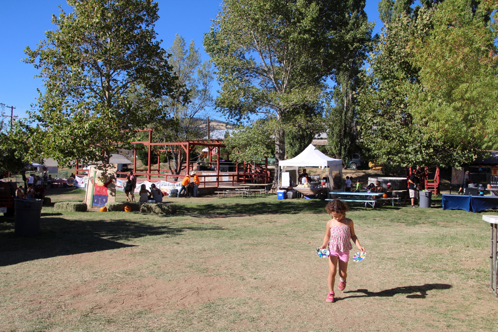 2015_julianapplepicking_festival_1000