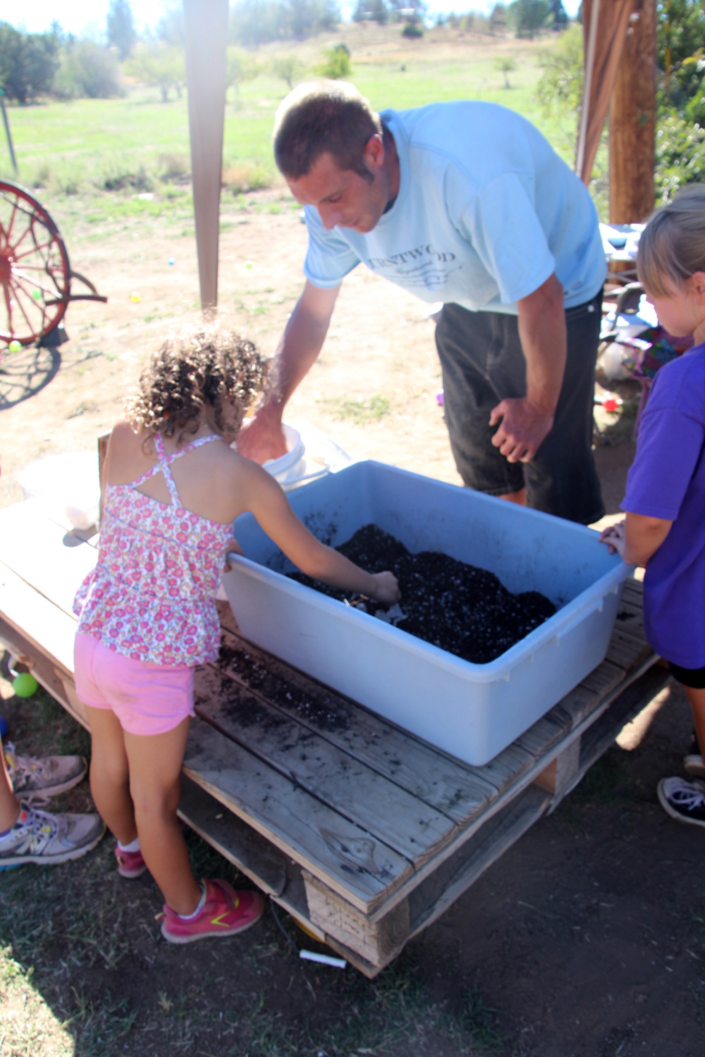 2015_julianapplepicking_gardening_1000