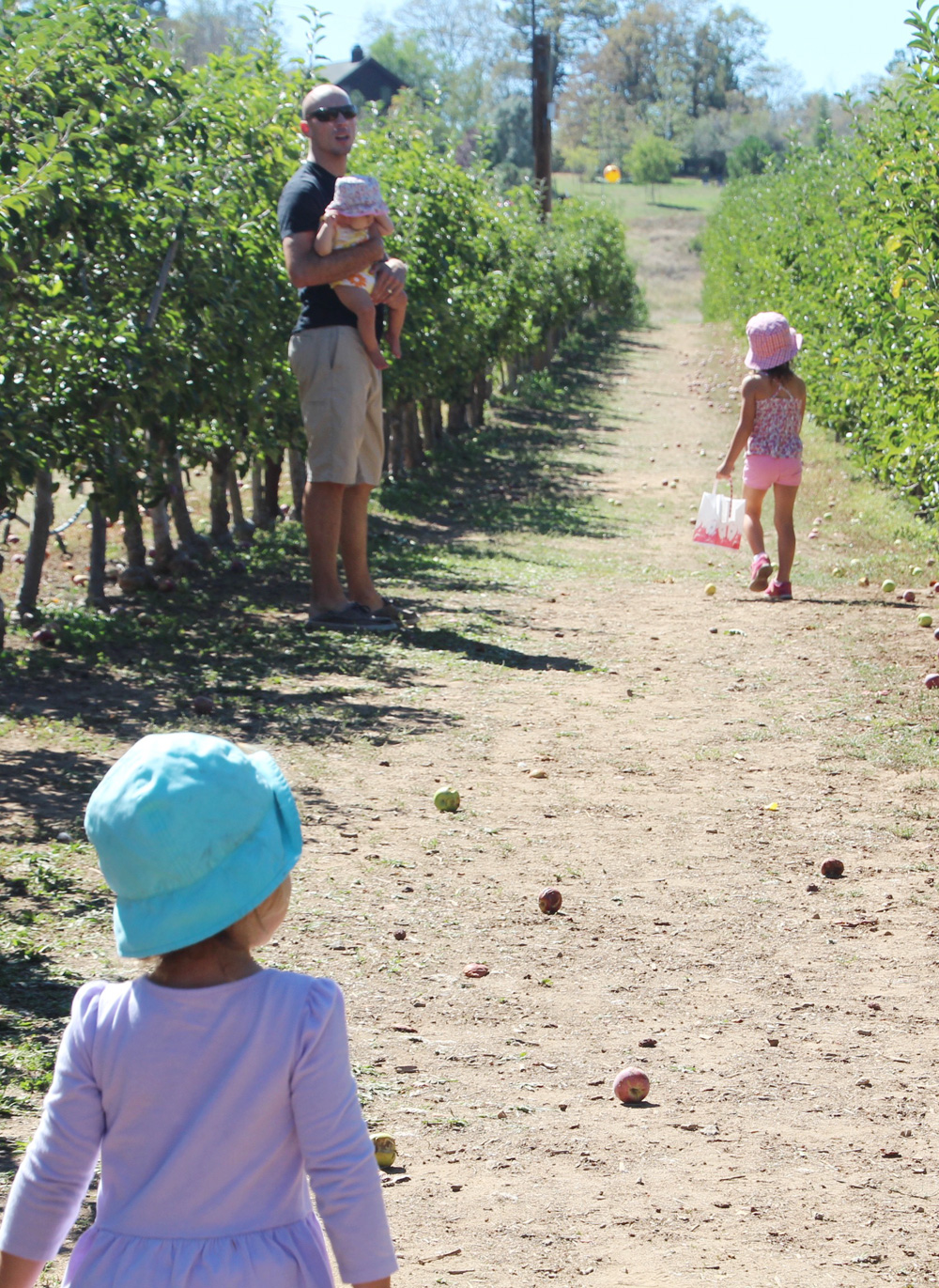 2015_julianapplepicking_walking_1000