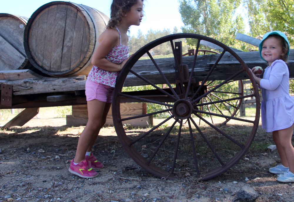 2015_julianapplepicking_wheel_1000